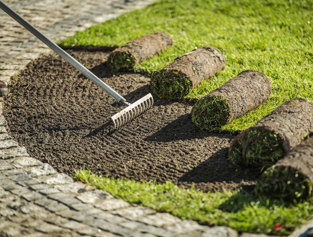 التيل الطبيعي